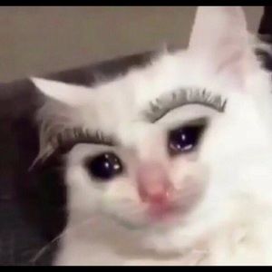 Meet your Posher, Monique